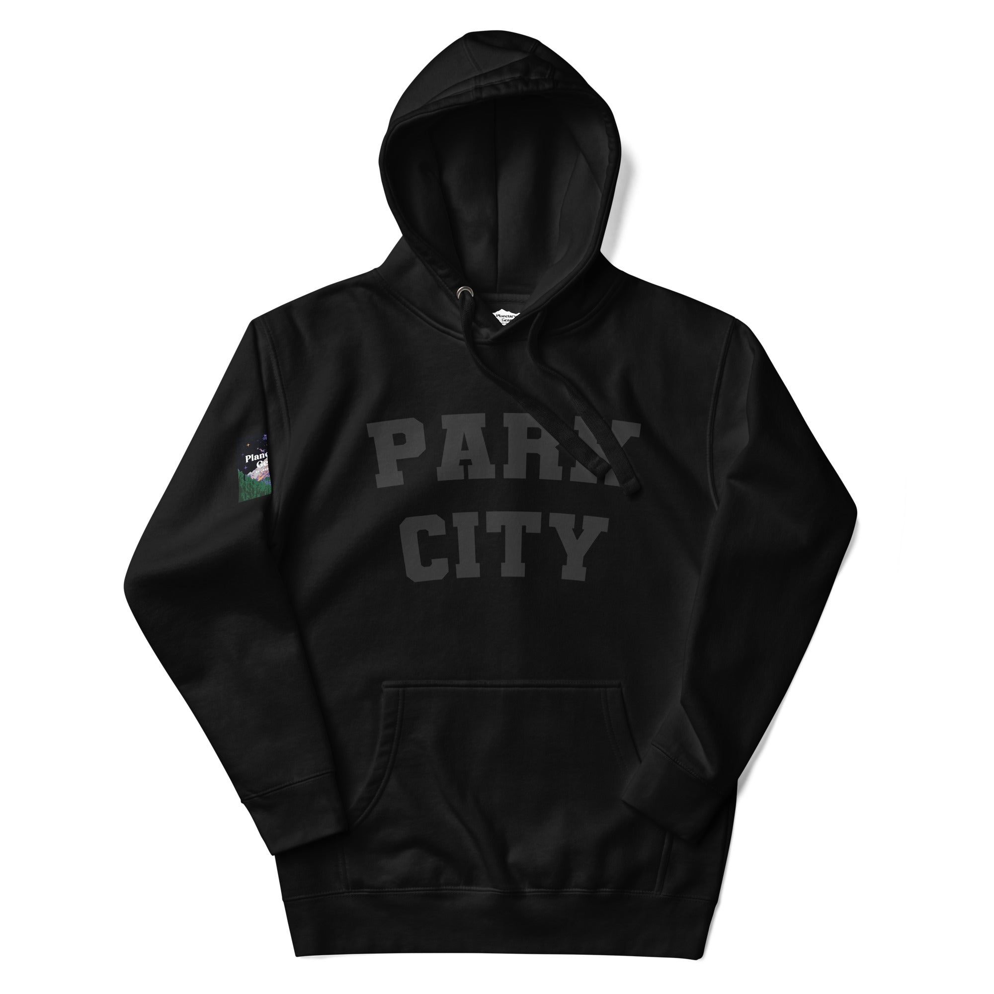 Park City Ski Hoodie